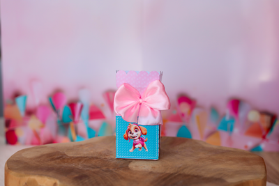 Box anniversaire personnalisée Pat patrouille Stella Melimeliparty
