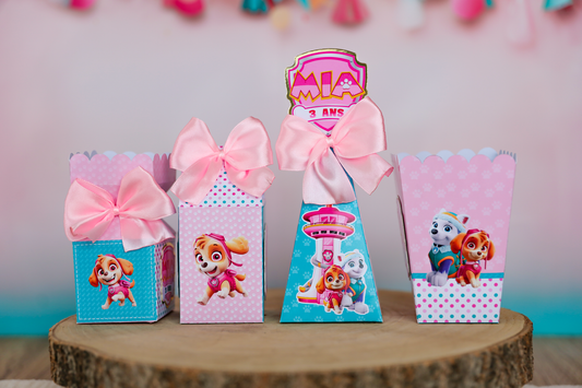 Box anniversaire personnalisée Pat patrouille Stella Melimeliparty
